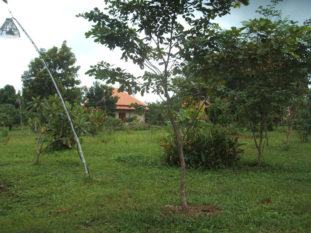 Green Plateau Lodge Banlung Kültér fotó