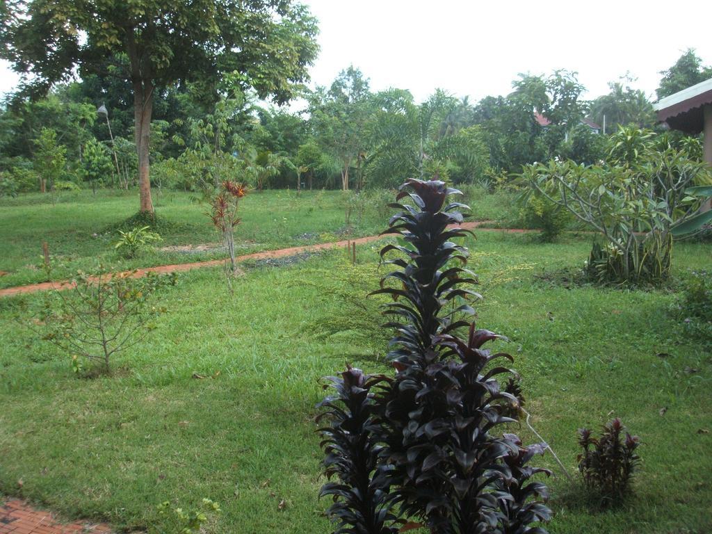 Green Plateau Lodge Banlung Kültér fotó